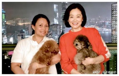 娱乐圈吃瓜预言是真的吗,揭秘真相与谣言的交织